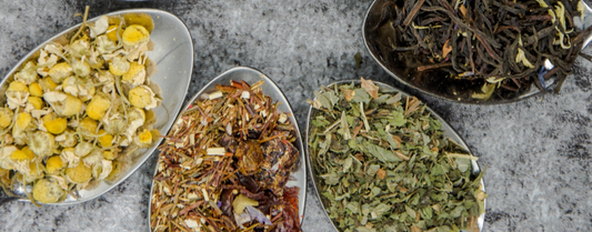 Tea Time! Refresh yourself on the basics of traditional teas.